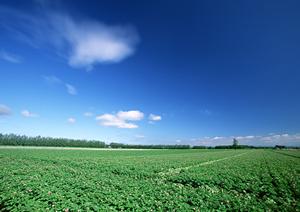 千葉県野田市にある安心の葬儀場｜ティア野田の詳細情報と特徴解説