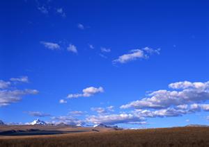 静岡県富士市に根ざした安心の葬儀サービスと祭場案内