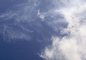 2025年版 浅草エリアのお墓に関する完全ガイド：選び方・費用・アクセスのポイント