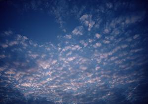 【公式】家族葬のタクセル今泉新町｜栃木県宇都宮市の家族葬専門斎場と充実のサービス内容